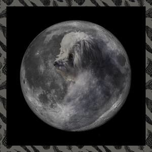 Meet your Posher, Loretta